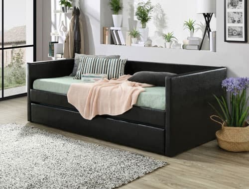 Picture Sadie Exprosso Daybed for living room Picture Sadie Exprosso Daybed for living room